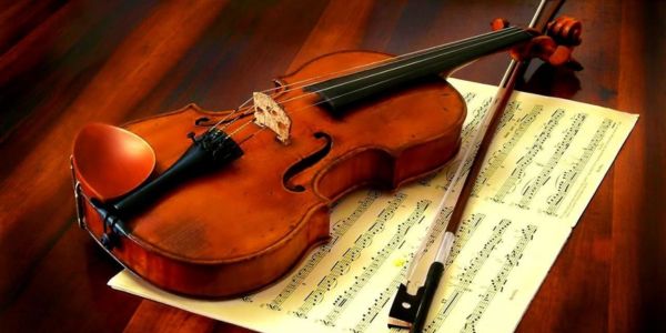 Violin